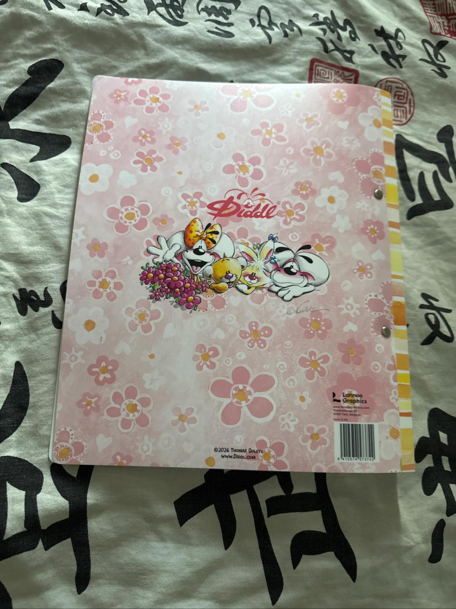 Map diddl in plastic – photo 3